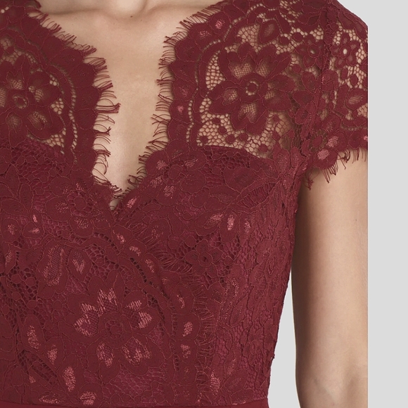 Petal & Pup V-neck Lace Lucille Dress In Wine Size 4 - Picture 5 of 12